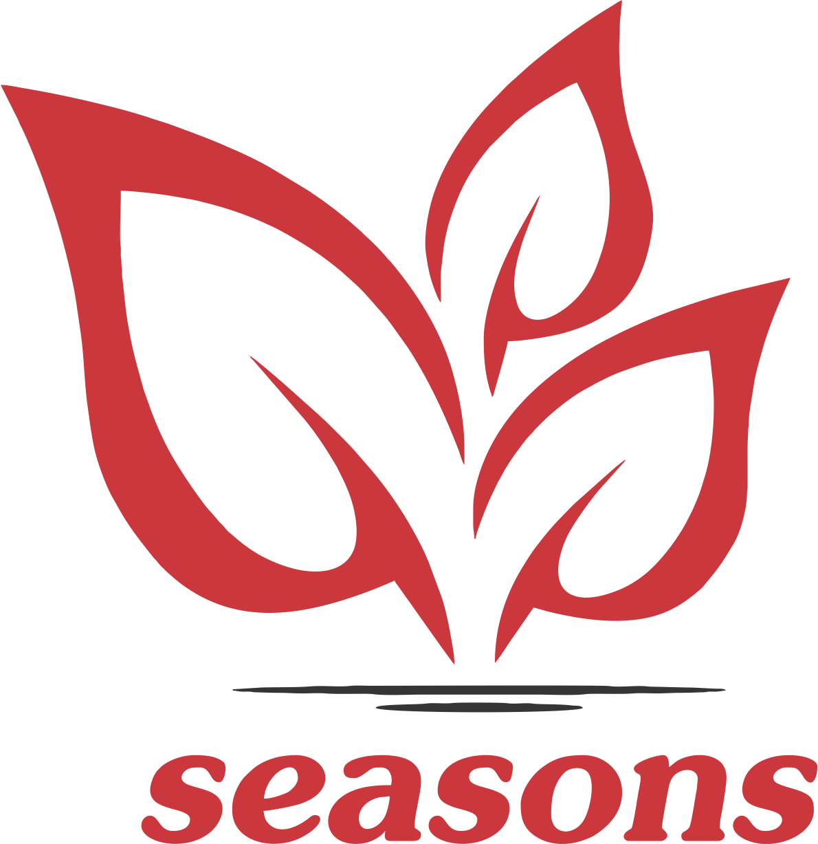 Rope Seasons Holidays